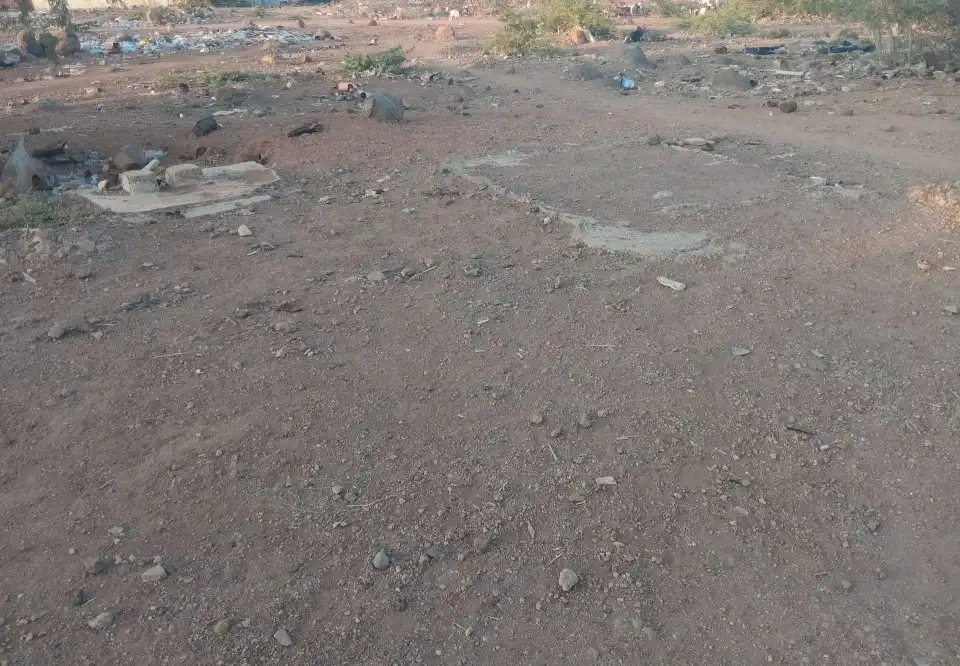 Terrain