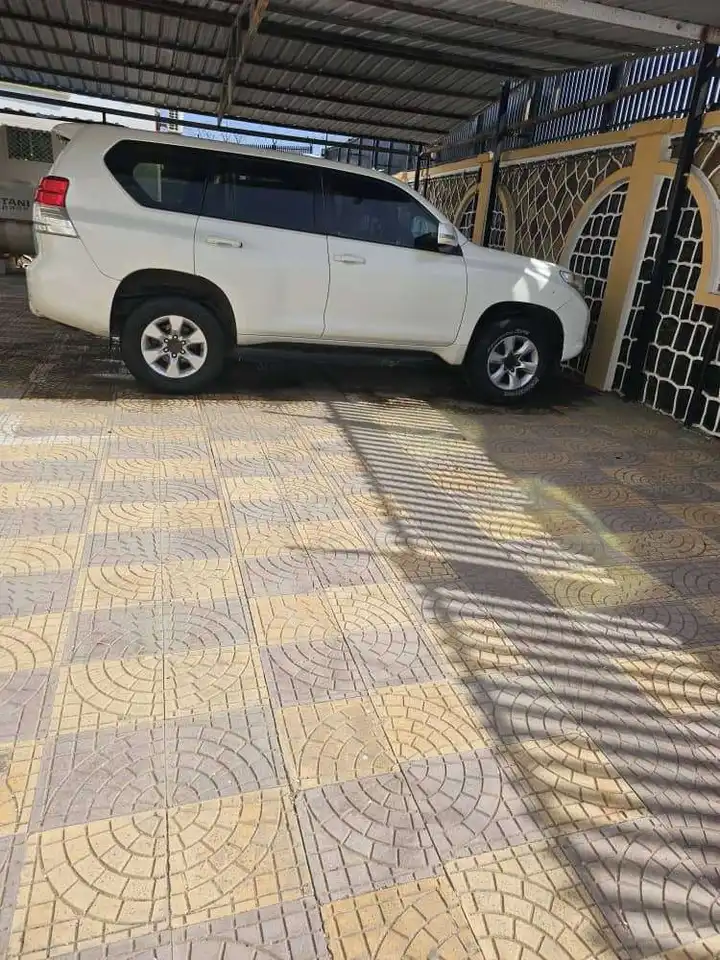 Toyota Land Cruiser Prado 2010
