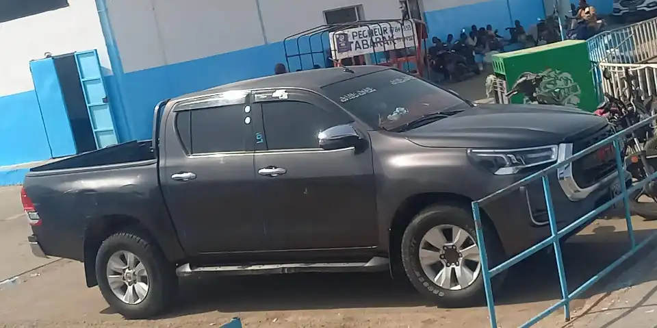 Pickup Requin