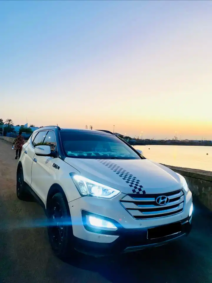 Hyundai santa fe 2014-15