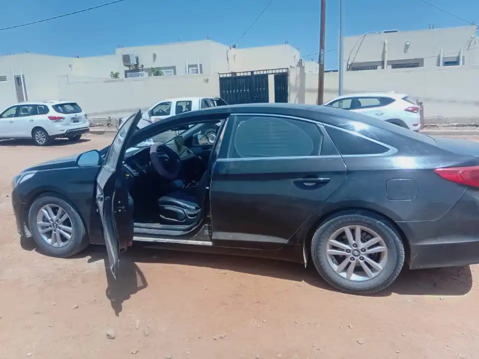 Hyundai sonatane